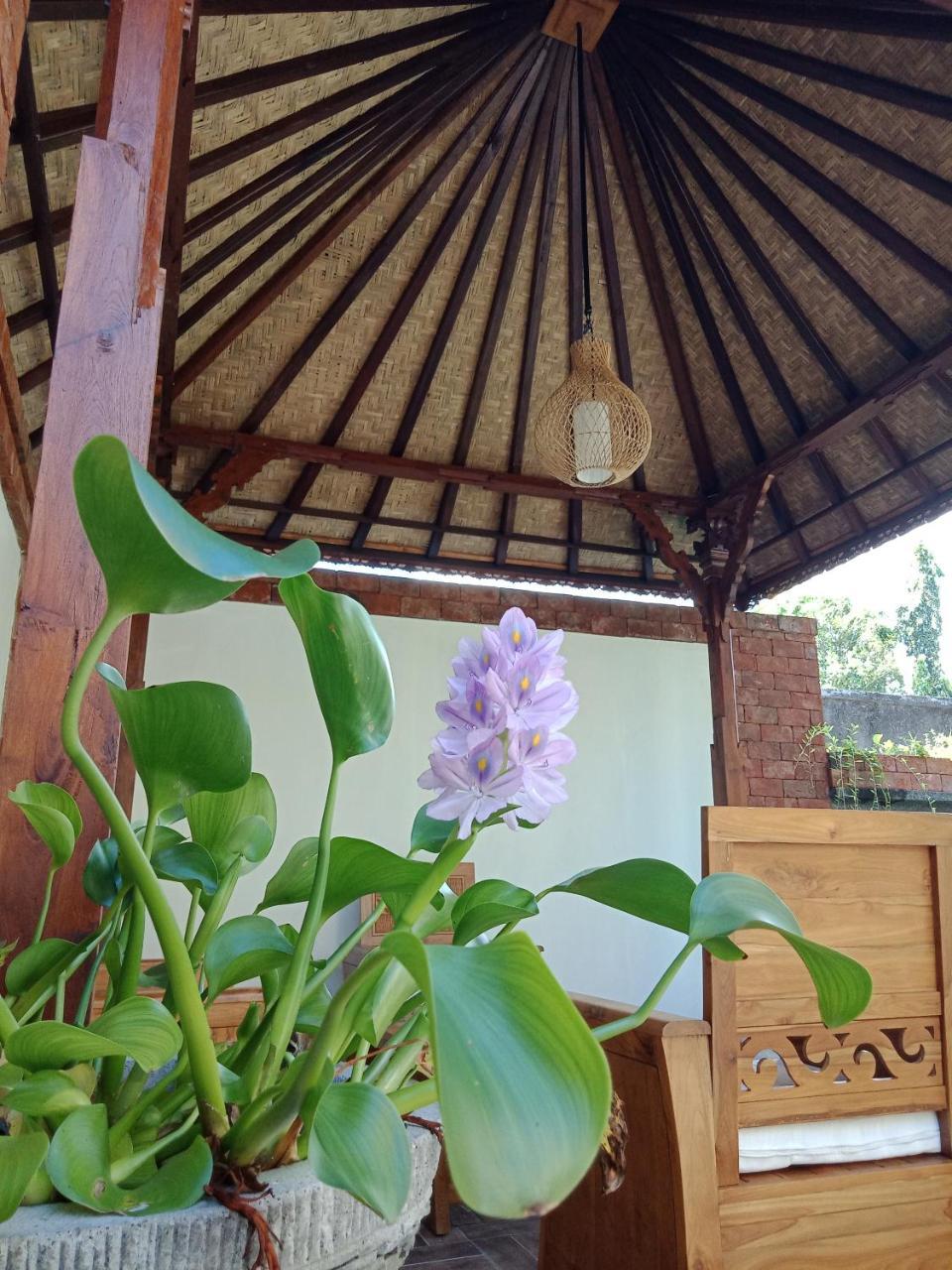 D'Puja Home Stay And Spa Nusa Dua (Bali) Exterior foto